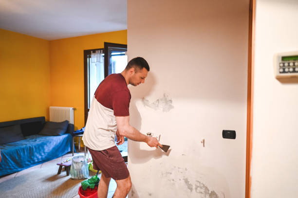 Best DIY Mold Remediation Support Services in Somerville, TX